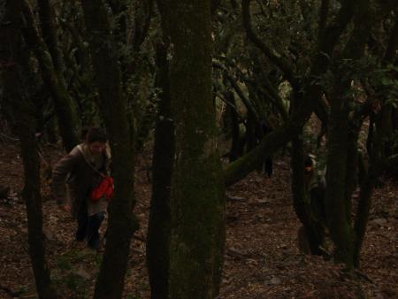 Promenons nous dans les bois...