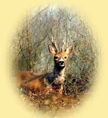 Ca commence bien le stage !!