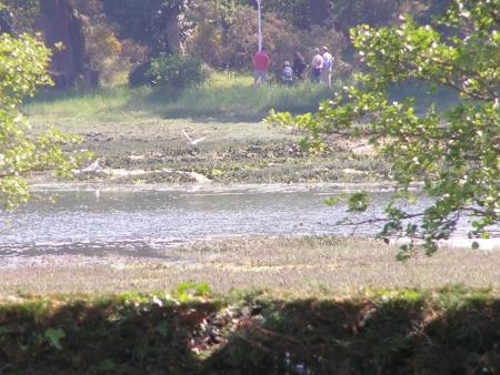 35 ans STID Vannes camping conlo