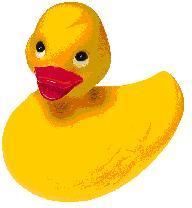 Boycotons le foie gras industriel !!!